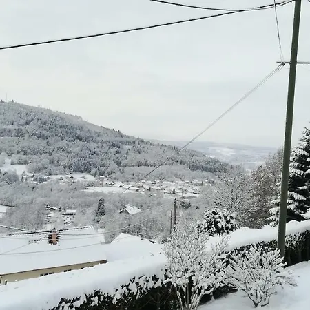 Hébergement de vacances De Bellevue Maison Traditionnelle Vosgienne