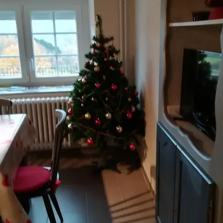 De Bellevue Maison Traditionnelle Vosgienne Hébergement de vacances *